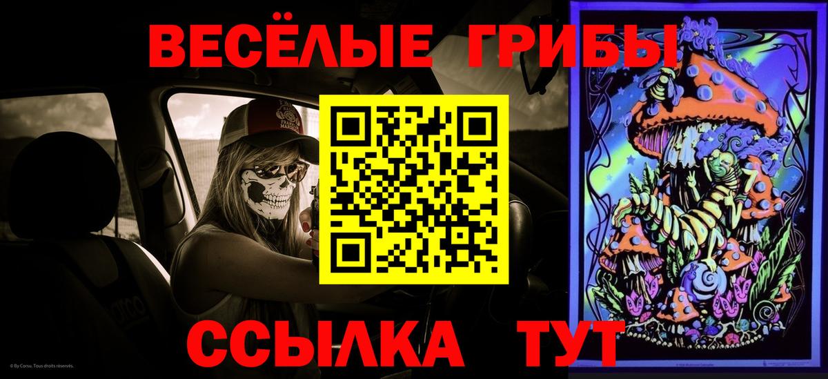 Галлюциногенные грибы GOLDEN TEACHER  Псилоцибиновые грибы MAGIC MUSHROOMS  Вход с VPN  Славгород 